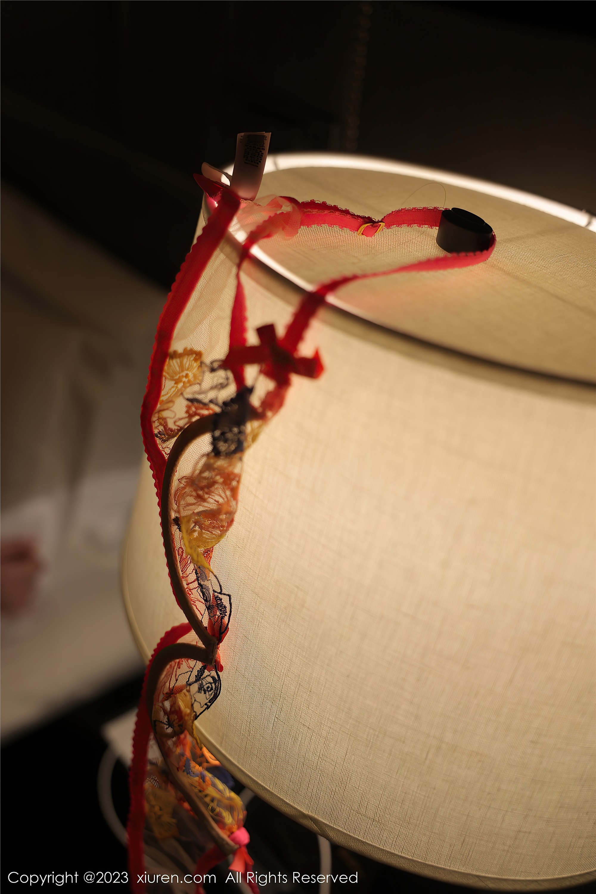 XiuRen秀人网  2023.02.24 NO.6317 林珊珊